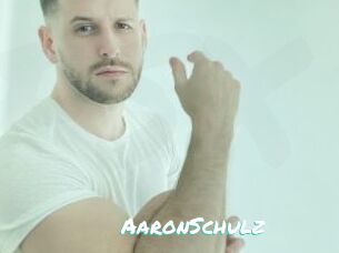 AaronSchulz