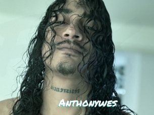 Anthonywes