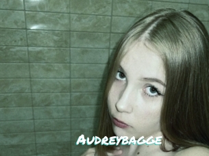 Audreybagge