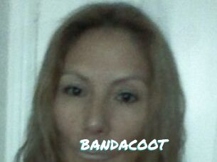 BANDACOOT