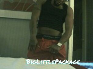 BigLittlePackage