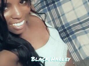 Black_Harley