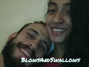 BlowsAndSwallows