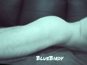 BlueBirdy