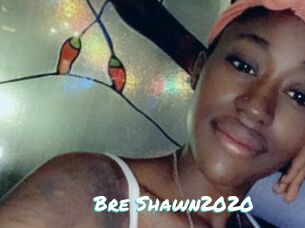 Bre_Shawn2020