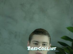 BredCollins