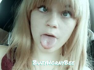 BuzyHornyBee