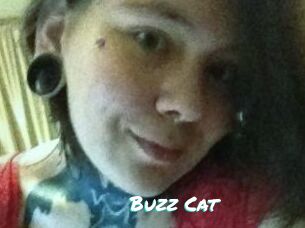 Buzz_Cat