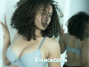 Biancacelia