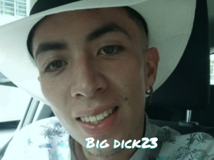 Big_dick23