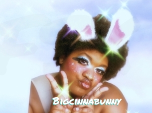 Bigcinnabunny