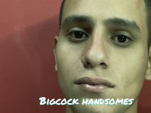 Bigcock_handsomes