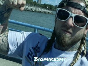 Bigmikesfit