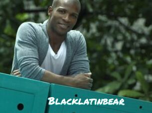 Blacklatinbear