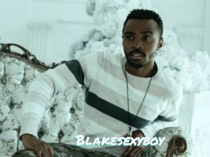 Blakesexyboy