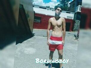 Borningboy