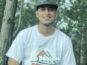 Bradgil