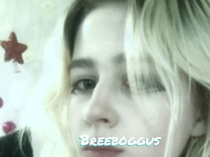 Breeboggus