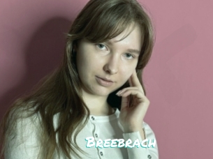 Breebrach