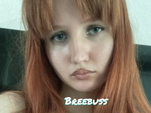 Breebuss