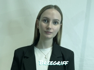 Breegriff