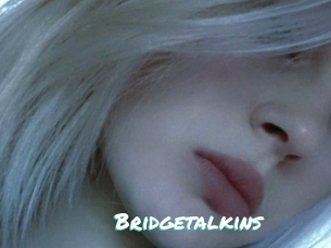 Bridgetalkins