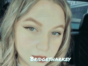 Bridgetharkey