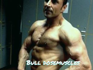 Bull_dosemuscles