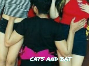 CATS_AND_BAT