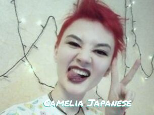 Camelia_Japanese