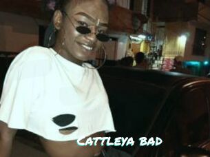 Cattleya_bad