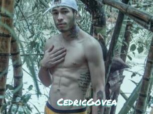 CedricGovea