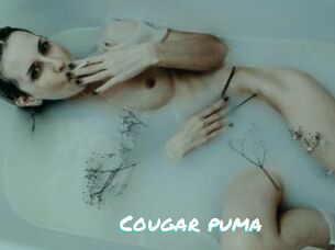 Cougar_puma