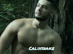 Calixsnake