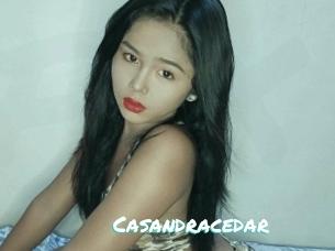 Casandracedar