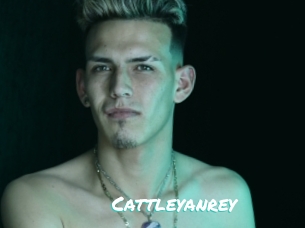 Cattleyanrey