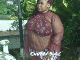 Chubby_bule