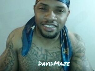 David_Maze