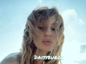 Daisyburge