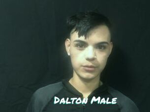 Dalton_Male