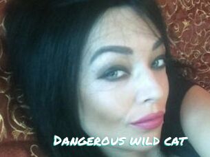 Dangerous_wild_cat