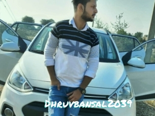 Dhruvbansal2039