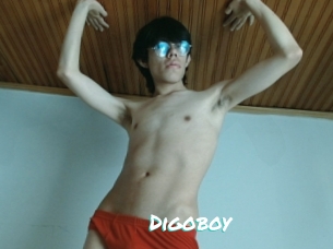 Digoboy