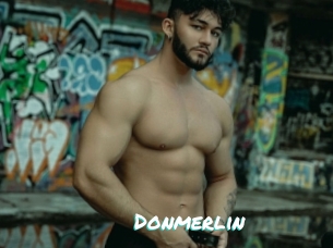 Donmerlin