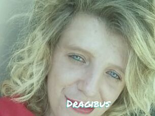 Dragibus