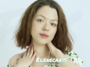 Elenecaris