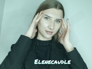 Elenecaudle