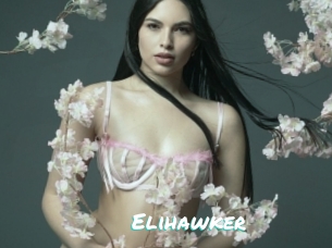 Elihawker