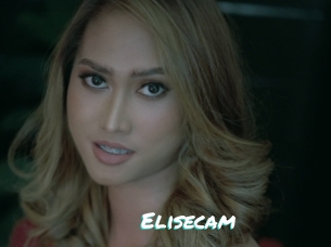 Elisecam