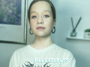 Ellettebuss